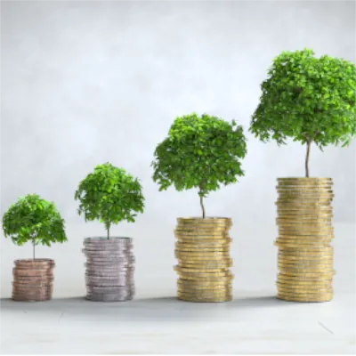 Budget planning and financial strategy materials